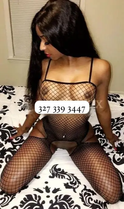 3273393447 Katia 83580