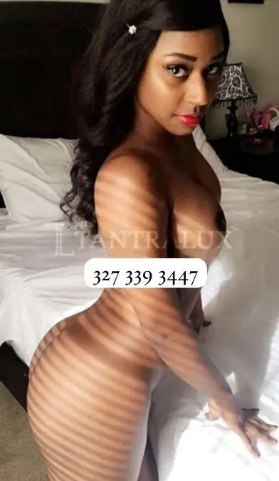 3273393447 Katia 83581