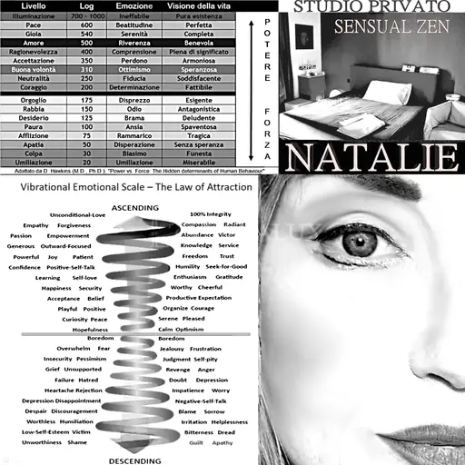 3515829609 NATALIE S.Zen Studio pr. 83796