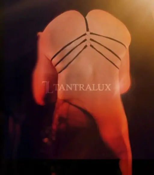 3209646651 Dolce Chicca 83840