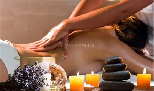 3510991254 SOFI OLISTICA 83888