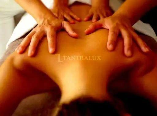 3510991254 SOFI OLISTICA 83890