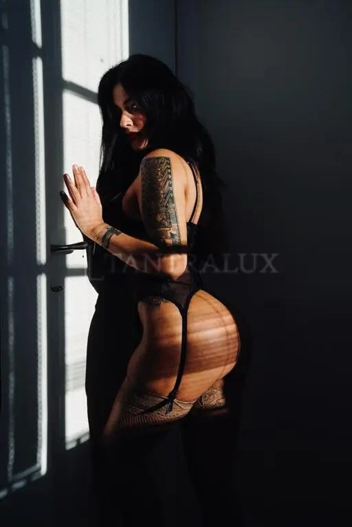 3477797804 Canela 83903