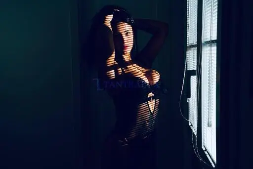 3477797804 Canela 83906