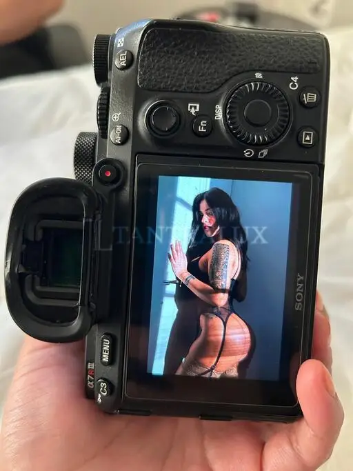 3477797804 Canela 83908