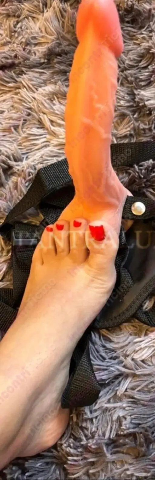 3930689108 Alesya 83954