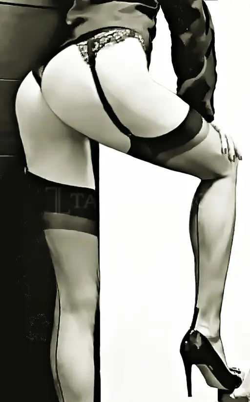 3461217565 Cecil Top Mature 84286