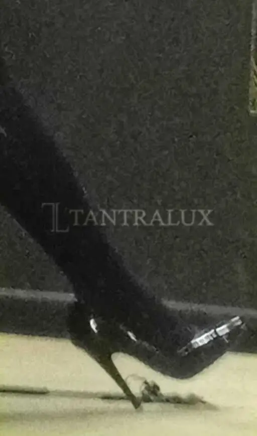 3668735093 Nausica 84536