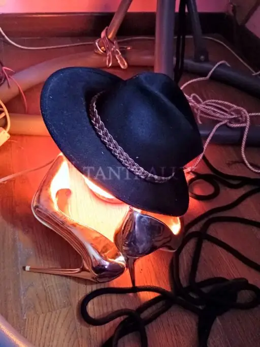 3889455010 Tina 85186