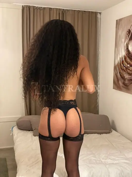 3512466393 Sofia 85952