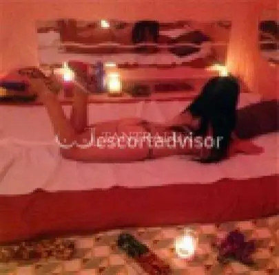 3313848132 3313848132 42587