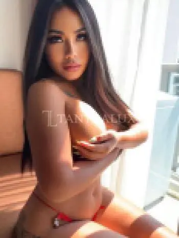 3933064643 3933064643 47202