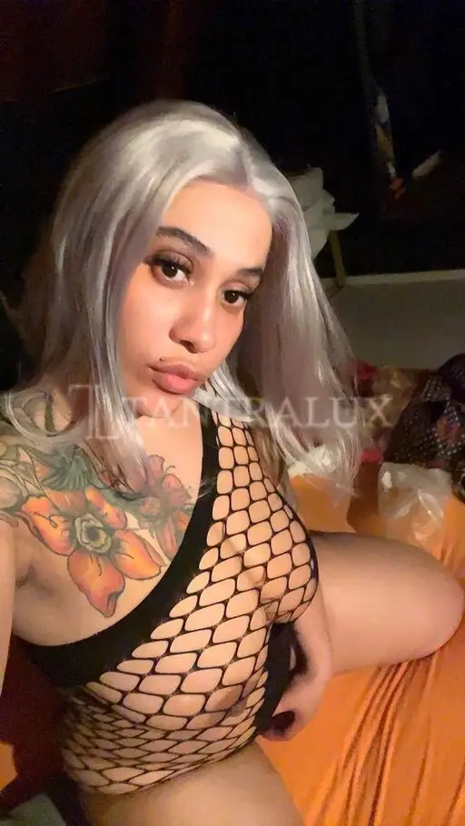 3516725241 Caterina 94981