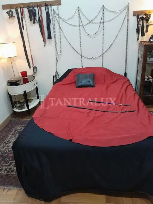 3662563555 Aurora Schiava 98330