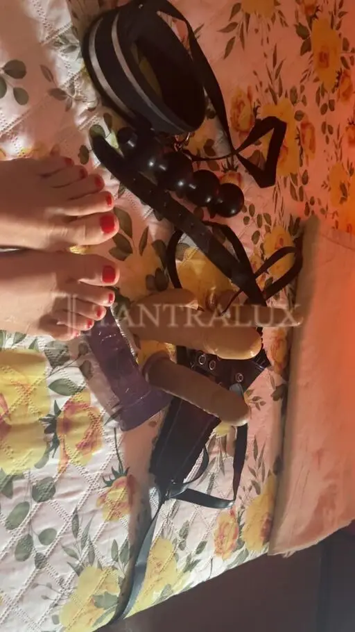 3888746387 Rossana 98388